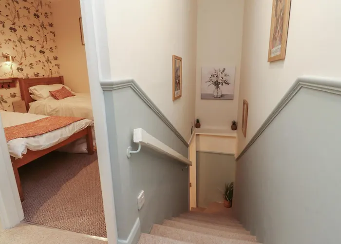 Willow Wood * סטל